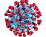 coronavirus map android application logo